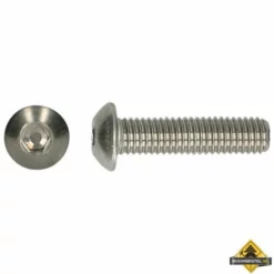 Binnenzeskant Bolkopschroef RVS A2 M5x10mm | 200 Stuks