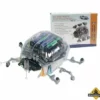 Ladybug Robot Kit -hulpmiddel Verkoopwinkel ladybug kit bouwbestel