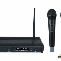 Draadloos 2-Kanaals Microfoonsysteem