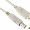 Usb 2.0 A-Plug Naar Usb 2.0 B-Plug / Koper / Basis / 1.8 M / Verguld / M - M -hulpmiddel Verkoopwinkel pac601b018n 2