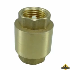 1 Inch Terugslagklep Met Veer